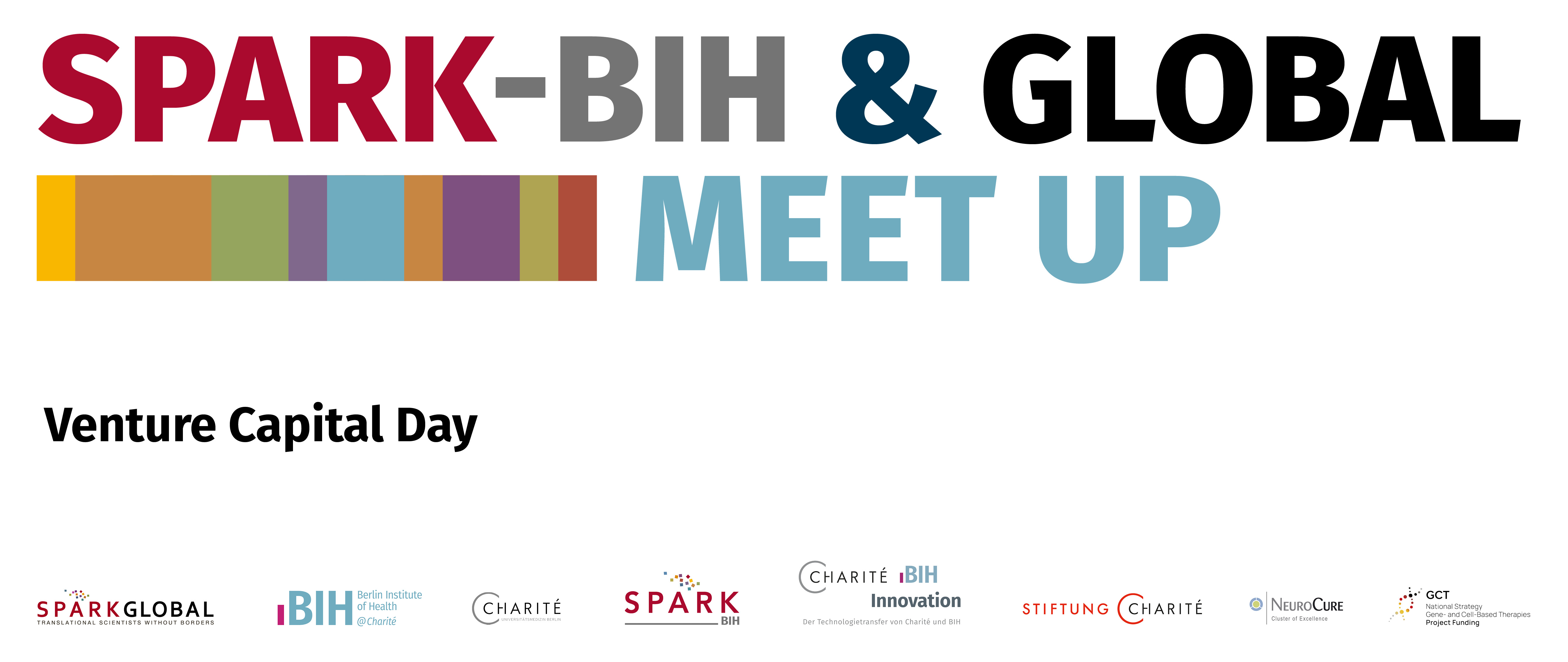 Banner SPARK BIH GLOBAL VC Day